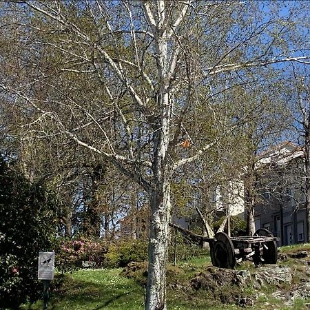 Campo De Estrellas Διαμέρισμα Σαντιάγο ντε Κομποστέλα Εξωτερικό φωτογραφία